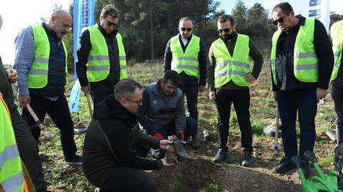 MOSFED Hatıra Ormanları 