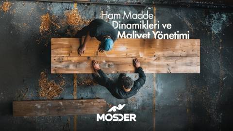 Ham Madde Dinamikleri ve Maliyet Yönetimi